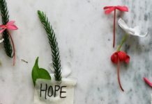 Hope